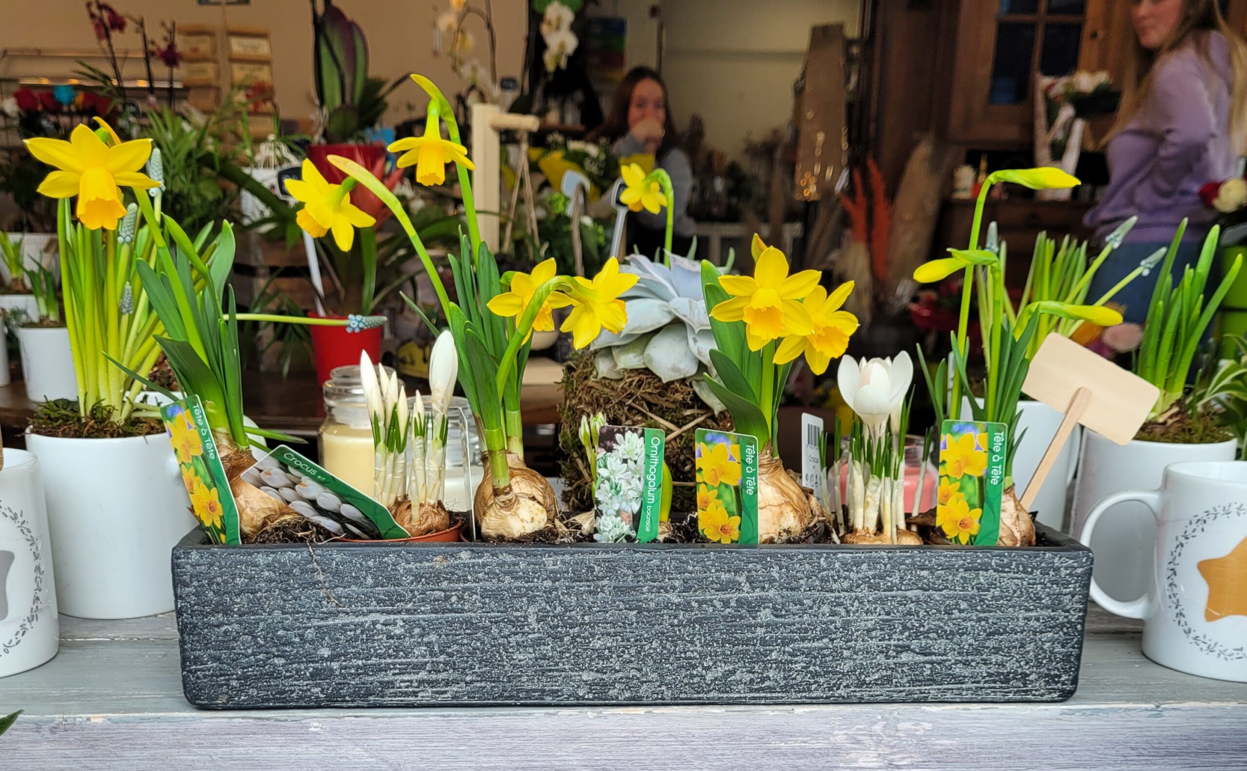 20230224_154541 Bouquet